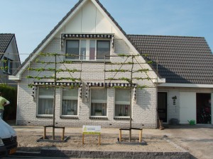 Groenservice sjoerdbakker
