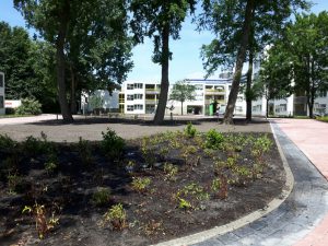 aanleg-tuin-amsterdam