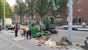 bomen-rooien-amsterdam-1